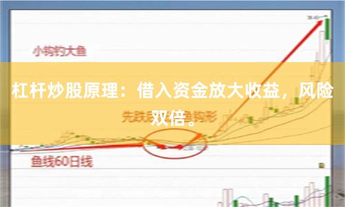 杠杆炒股原理：借入资金放大收益，风险双倍。